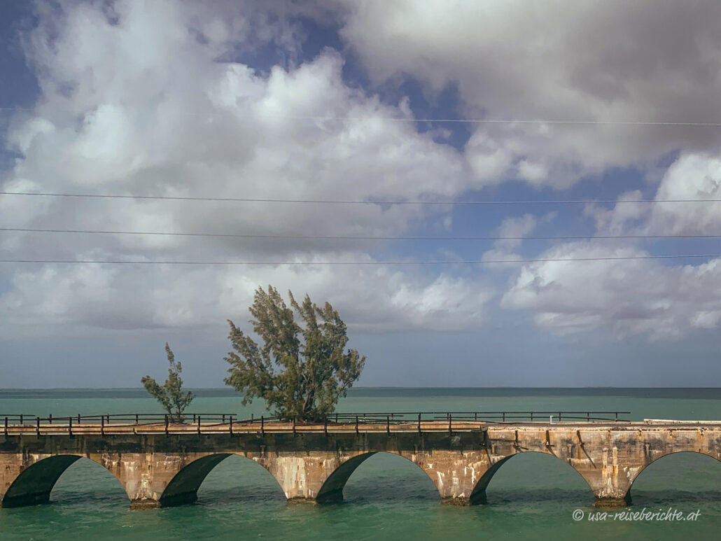 Fred the Tree entlang des Overseas Highway