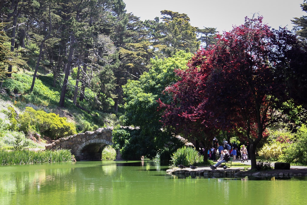 Golden Gate Park